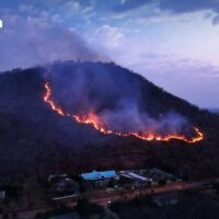 Über 20 Feuerwehrwagen kämpften am Dienstag darum, den Chainat Bird Park vor einem Feuer zu retten, das den Berg Khao Plong im Distrikt Mueang, 200 Kilometer nördlich von Bangkok, erfasste. Das Feuer brach am Montagmorgen aus und breitete sich gestern Abend in Richtung des Wasserparks und des Vogeleiermuseums des Parks aus, sagte Jitthana Yingthaweelapa, Präsident der Verwaltungsorganisation der Provinz Chainat (PAO).