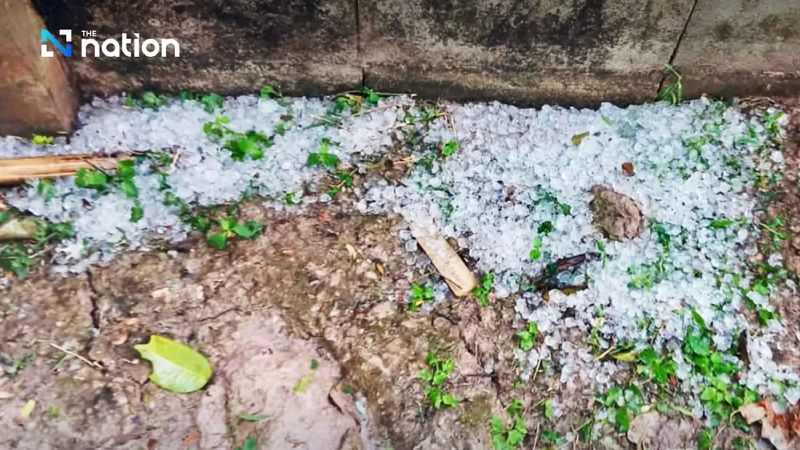 Ein Provinzbeamter sagte, der Sturm habe etwa eine Stunde gedauert und vor allem die Unterbezirke Ban Tum und Tha Jum Pi im Bezirk Mueang betroffen. Insgesamt 16 Häuser in diesen Gebieten wurden durch den Hagel beschädigt, der Berichten zufolge mehr als 100 Dachziegel zerbrach, während die starken Winde die Zinkdachplatten einiger Häuser wegfegten, fügte er hinzu.