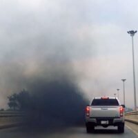 Thailand bereitet sich auf die Einführung einer Kohlenstoffsteuer in diesem Monat vor. Dies wäre ein wesentlicher Schritt zur Reduzierung der Treibhausgasemissionen und zur Förderung der Nachhaltigkeit im ganzen Land.