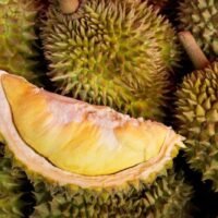 Das Landwirtschaftsministerium hat den Export von 26 Durian-Verpackungsanlagen gestoppt, nachdem China über 64 Tonnen Durian zurückgewiesen hatte, die mit Basic Yellow 2 (BY2) kontaminiert waren. Die Lieferung im Wert von über 12 Millionen Baht wurde am 7. Februar zurückgeschickt, nachdem China strengere Inspektionsmaßnahmen eingeführt hatte.