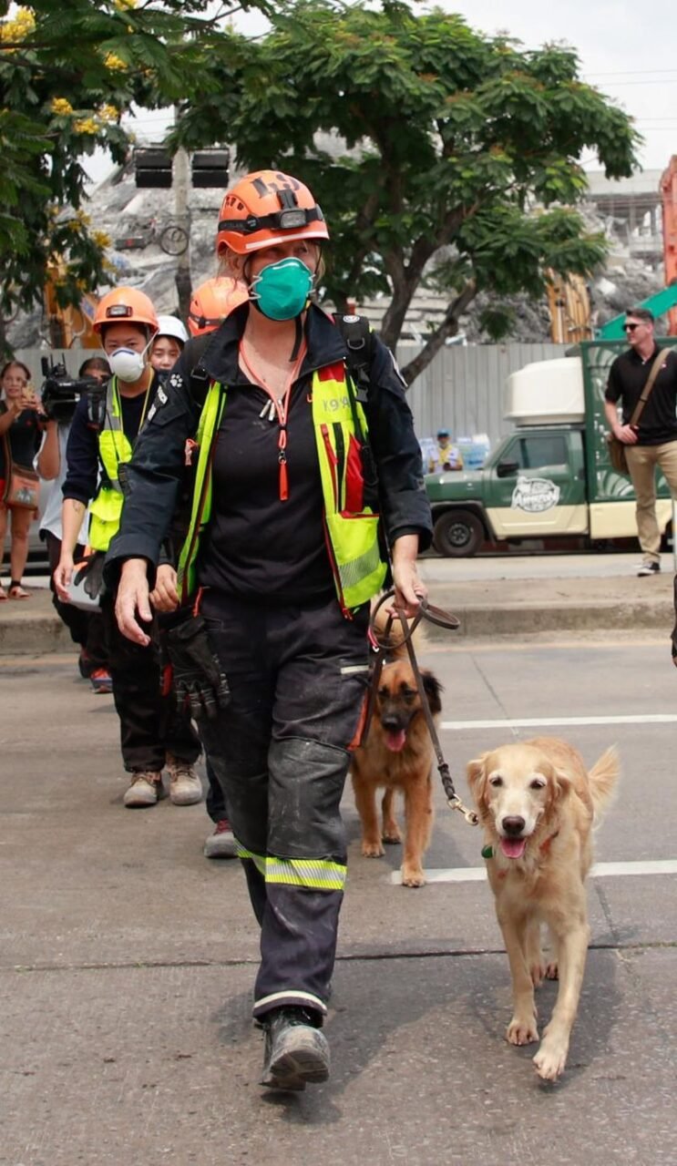 Ausländische und einheimische Notfallteams suchen nach Überlebenden, die unter 75.000 Tonnen herabgestürztem Beton und Stahl begraben sindSusan Redmond leitet ein Team von 11 Rettungshunden, darunter Sahara, ein vierjähriger Golden Retriever mit viel Erfahrung.