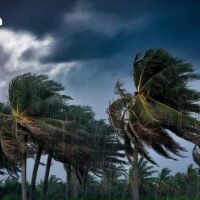 Die Bevölkerung wird dringend gebeten, angesichts der Wetterumschwünge auf ihre Gesundheit zu achten und sich vor extremen Wetterbedingungen zu schützen, indem sie große Bäume und ungesicherte Werbetafeln meidet. Autofahrer sollten erhöhte Vorsicht walten lassen, und Landwirten wird geraten, Vorkehrungen zu treffen, um Schäden an Ernten und Vieh zu vermeiden, hieß es weiter.