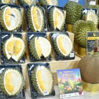 Bei Durian gibt es kein Dazwischen: Entweder man liebt sie oder man hasst sie. Durian-Liebhabern läuft beim Anblick des goldgelben Fruchtfleisches das Wasser im Mund zusammen, während Durian-Hasser die Nase rümpfen, weil sie den Geruch nicht ertragen können. Durian erfreut sich bei Liebhabern großer Beliebtheit. Sie ist ein jährlicher Sommergenuss, obwohl Durianfrüchte in einigen Teilen Thailands das ganze Jahr über erhältlich sind.