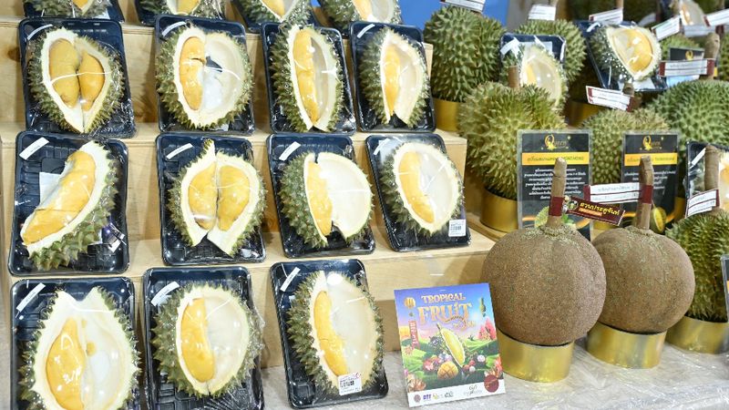 Bei Durian gibt es kein Dazwischen: Entweder man liebt sie oder man hasst sie. Durian-Liebhabern läuft beim Anblick des goldgelben Fruchtfleisches das Wasser im Mund zusammen, während Durian-Hasser die Nase rümpfen, weil sie den Geruch nicht ertragen können.Durian erfreut sich bei Liebhabern großer Beliebtheit. Sie ist ein jährlicher Sommergenuss, obwohl Durianfrüchte in einigen Teilen Thailands das ganze Jahr über erhältlich sind.