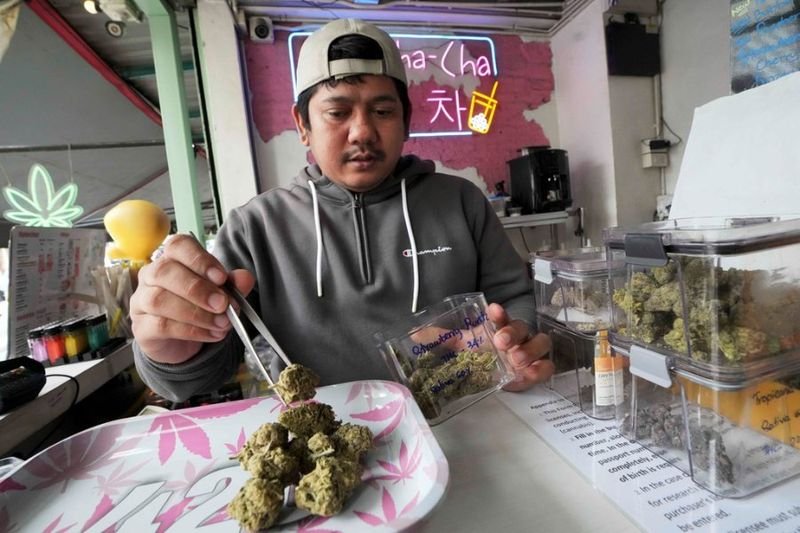Thailands Cannabisindustrie steht vor einem tiefgreifenden Wandel: Neue Vorschriften drohen die Schließung von rund 12.000 Cannabis-Blütenläden. Das Ministerium für Traditionelle und Alternative Medizin (DTAM) des Landes hat strenge Vorschriften erlassen, die medizinisches Fachpersonal zur Überwachung des Cannabisverkaufs verpflichten. Diese Änderungen sollen bis Jahresende in Kraft treten.