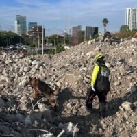 Das Such- und Rettungsteam von United SAR K9 führt am 10. Mai eine morgendliche Suchmission an der Einsturzstelle des Gebäudes des staatlichen Rechnungshofs in Bangkok durch. Mehr als 90 Menschen starben, als das 30-stöckige Gebäude am 28. März einstürzte. (Foto: United SAR K9 Team)