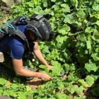 Die Königlich Thailändische Armee schlägt zurück, nachdem eine kambodschanische Landmine auf thailändischem Boden in der Provinz Surin explodiert ist. Der Vorfall ereignete sich am Dienstagmorgen und verletzte einen thailändischen Soldaten. Nun wird zur Selbstverteidigung aufgerufen. Ja, Sie haben richtig gehört; die Lage wird ernst.