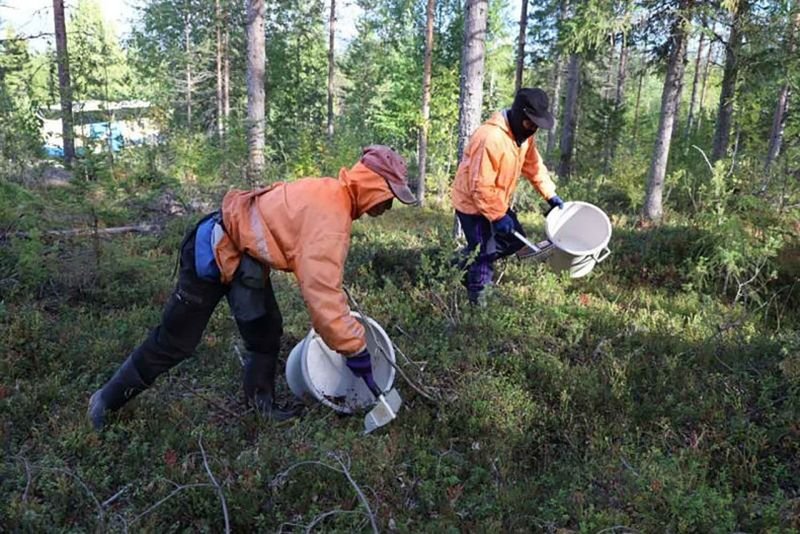 Ein Bezirksgericht in Finnland hat Vernu Vasunta, CEO des Beerenunternehmens Kiantama, wegen 62 Fällen schweren Menschenhandels, in den Dutzende thailändischer Arbeiter verwickelt waren, zu dreieinhalb Jahren Gefängnis verurteilt, berichtete Xinhua unter Berufung auf den nationalen Sender Yle.