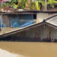 Mehr als 60.000 Haushalte in Ayutthaya leiden schwer unter den Überschwemmungen, da Teile dieser an Bangkok angrenzenden Provinz seit über drei Monaten überflutet sind. Dies hat bereits 15 Todesopfer gefordert, und viele Betroffene campieren nun mit ihren Tieren auf den Straßen, berichtete Amarin TV gestern Morgen (14. November).