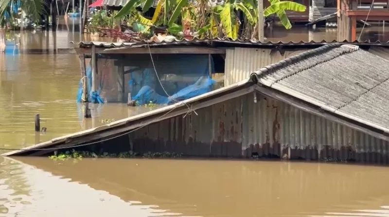 Mehr als 60.000 Haushalte in Ayutthaya leiden schwer unter den Überschwemmungen, da Teile dieser an Bangkok angrenzenden Provinz seit über drei Monaten überflutet sind. Dies hat bereits 15 Todesopfer gefordert, und viele Betroffene campieren nun mit ihren Tieren auf den Straßen, berichtete Amarin TV gestern Morgen (14. November).