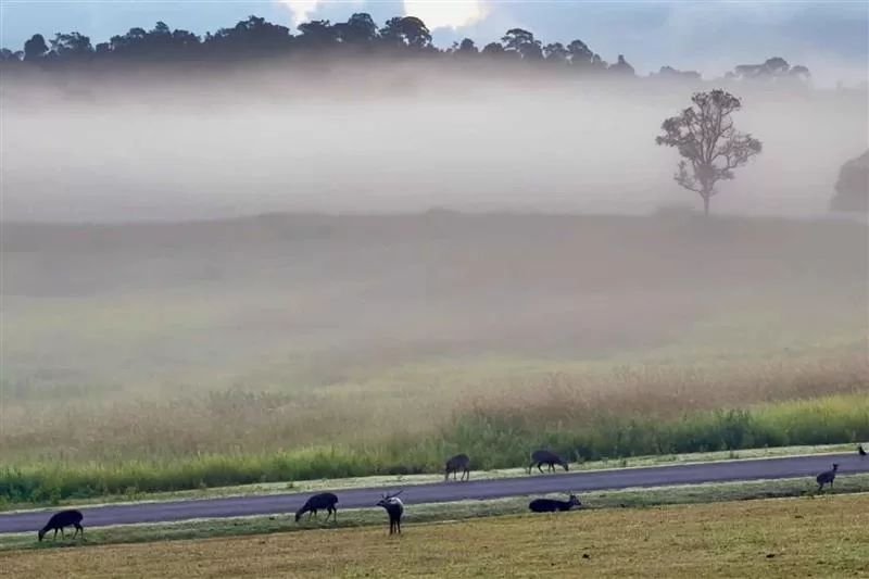 Der Wetterdienst hat vor einem deutlichen Temperatursturz in den nördlichen Regionen des Landes zwischen dem 17. und 23. November gewarnt. Im Nordosten wird mit einem Rückgang von 4–7 °C der stärkste Rückgang erwartet. In der Zentralregion, einschließlich des Großraums Bangkok, sowie im Norden und Osten sinken die Temperaturen um 2–4 °C.