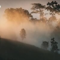 . Der Wetterdienst hat für Montag (17. November) kühlere Temperaturen in ganz Thailand vorhergesagt. Besonders im Norden sinken die Temperaturen, dort werden Tiefstwerte von 18 °C erwartet. In Bangkok ist es morgens kühl, im Süden kann es vereinzelt zu Gewittern kommen.