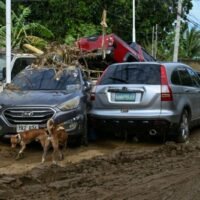 Taifun Kalmaegi hat mindestens 140 Menschen getötet und weitere 127 vermisst, nachdem er in den zentralen Philippinen verheerende Überschwemmungen ausgelöst hatte, wie offizielle Zahlen am Donnerstag zeigten, während der Sturm auf Vietnam zusteuerte.