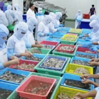 Thailand hat die Verlängerung von Arbeitsgenehmigungen für kambodschanische Arbeiter aufgrund der verschärften Spannungen an der thailändisch-kambodschanischen Grenze ausgesetzt. Dieser Schritt erfolgte, nachdem ein thailändischer Soldat durch eine mutmaßlich neu verlegte Landmine verletzt worden war. Daraufhin setzte Bangkok die Umsetzung der kürzlich unterzeichneten Friedenserklärung zwischen den beiden Ländern vorübergehend aus.