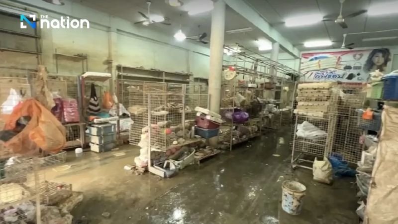 Premierminister Anutin Charnvirakul ordnete einen Erlass der Stromrechnungen für November für die von den jüngsten Überschwemmungen betroffenen Einwohner von Songkhla an.Von dieser Maßnahme werden 451.211 Privatnutzer in offiziell erklärten Katastrophengebieten profitieren.
Die Gesamtkosten der Hilfsmaßnahmen belaufen sich auf 420 Millionen THB und werden aus den Eigeneinnahmen der Provincial Electricity Authority (PEA) gedeckt.