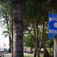 Es war ein ganz normaler Tag für die Einheimischen, die am Strand von Phuket entlangspazierten und fröhlich angespülte Fische aufsammelten. Sie ahnten nicht, dass sich ihr Leben in den nächsten Minuten schlagartig ändern würde. Plötzlich rief ihnen ein Westler zu: „Es kommen große Wellen!“