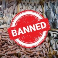 Die USA verbieten die Einfuhr von Meeresfrüchten aus Vietnam und öffnen damit die Tür für thailändische Exporteure. Die USA werden ab dem 1. Januar 2026 die Einfuhr von Meeresfrüchten aus zwölf wichtigen vietnamesischen Fischgründen verbieten, da diese die Standards des Marine Mammal Protection Act nicht erfüllen.