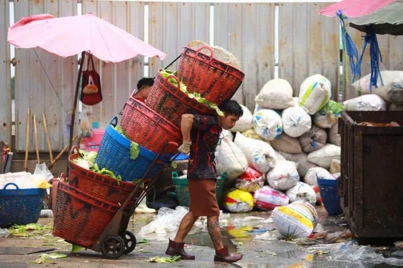 Wissenschaftler und Aktivisten äußerten sich besorgt über die Situation von über 40 Millionen thailändischen Arbeitnehmern, die mit niedrigen Löhnen, unsicheren Arbeitsbedingungen und unzureichender Gesundheitsversorgung und sozialer Absicherung konfrontiert sind.