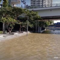 Das thailändische Amt für nationale Wasserressourcen (ONWR) hat tiefliegende Flussgemeinden davor gewarnt, sich auf Hochwasser vom 31. Januar bis 4. Februar 2026 vorzubereiten, da die Bedingungen des Nordostmonsuns möglicherweise zu Überschwemmungen in gefährdeten Gebieten und zu einer Verschärfung des Salzwassereindringens führen könnten, was die Trinkwasserqualität beeinträchtigen könnte.