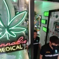 In einem mutigen Schritt im Vorfeld der thailändischen Parlamentswahlen haben die drei großen politischen Parteien – die Volkspartei, die Demokratische Partei und Pheu Thai – angekündigt, Cannabis als Betäubungsmittel neu einzustufen und dessen Verwendung ausschließlich auf medizinische Zwecke zu beschränken.