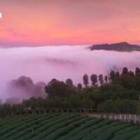 Eine mäßig kalte Luftmasse sorgt in ganz Thailand für anhaltend kühles und stabiles Wetter. In den nördlichen und nordöstlichen Regionen herrscht das kälteste Wetter, die Mindesttemperaturen sinken bis auf 13°C. Bangkok und die zentralen, östlichen und südlichen Regionen werden ebenfalls kühl sein, leichter Morgennebel wird erwartet.
