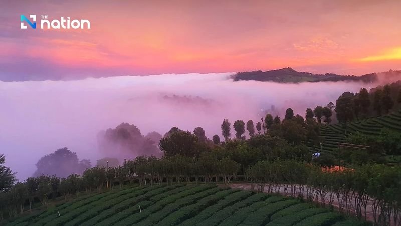 Eine mäßig kalte Luftmasse sorgt in ganz Thailand für anhaltend kühles und stabiles Wetter. In den nördlichen und nordöstlichen Regionen herrscht das kälteste Wetter, die Mindesttemperaturen sinken bis auf 13°C. Bangkok und die zentralen, östlichen und südlichen Regionen werden ebenfalls kühl sein, leichter Morgennebel wird erwartet.