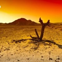 Meteorologische Behörden weltweit haben davor gewarnt, dass sich im Pazifischen Ozean ein „El Niño“-Ereignis entwickeln könnte, das die globale Durchschnittstemperatur bis 2027 möglicherweise auf einen neuen Rekordwert treiben könnte. Dies ist kein bloß vorübergehendes Wetterereignis.