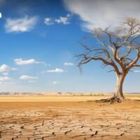 El Niño 2026 könnte früher eintreffen und das Hitzewellenrisiko in Thailand von März bis Mai erhöhen. Laut dem Wirtschaftswissenschaftler Dr. Witsanu Attavanich von der Kasetsart-Universität befindet sich Thailand in der „mittleren Phase“ von El Niño. Mit dem vollständigen Auftreten dieser Phänomene ist bis Mai 2026 zu rechnen, und es besteht ein erhöhtes Risiko von Hitzewellen – insbesondere im Süden und im unteren Osten.