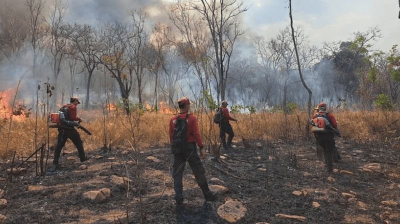 Feuerwehrleute und Freiwillige haben Waldbrände im Sakaerach-Forschungszentrum des Nationalen Waldreservats Khao Phu Luang im Bezirk Wang Nam Khio der Provinz Nakhon Ratchasima erfolgreich eingedämmt, nachdem diese etwa 800 Hektar Laubwald zerstört hatten.