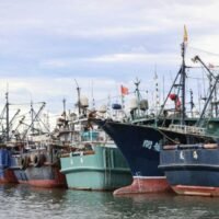 Tausende chinesische Fischerboote haben sich in geometrischen Formationen im Ostchinesischen Meer versammelt. Experten vermuten, dass es sich bei diesen koordinierten Aktionen um Teil der Vorbereitungen Pekings auf eine mögliche regionale Krise oder einen Konflikt handelt.