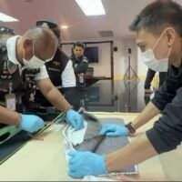 Die Polizei hat in der Provinz Chachoengsao eine 45-jährige Frau festgenommen, nachdem sie fast 10 Kilogramm Heroin in Sitzkissen versteckt entdeckt hatte. Das Heroin war für den Versand nach Sydney, Australien, bestimmt. Der Wert der beschlagnahmten Drogen wird lokal auf über 10 Millionen Baht geschätzt und könnte auf dem internationalen Markt bis zu 70 Millionen Baht erreichen.