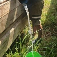Ein Mann in Phetchabun, Thailand, warnte Käufer vor einem ähnlichen Vorfall: Er hatte vermeintliches Benzin gekauft, erhielt aber stattdessen Wasser. Amnat Thueansantier schilderte den Vorfall auf Facebook und veröffentlichte Videos, die seine Angestellten beim Abpumpen von Wasser aus einem Brunnenbohrmotor zeigen. Nachdem er während einer Treibstoffknappheit 40.000 Baht für das vermeintliche Benzin bezahlt hatte, bemerkte er den Irrtum, als der Motor nicht ansprang.