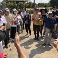 Der japanische Markt dürfte während der Feiertage der Goldenen Woche in dieser Woche einen Rückgang verzeichnen, da die Sitzplatzkapazität nach Thailand um 6 % gesunken ist. Hotelbetreiber sehen die Flugstreichungen als einen schwerwiegenderen Faktor für den thailändischen Tourismus an als die hohen Flugpreise.