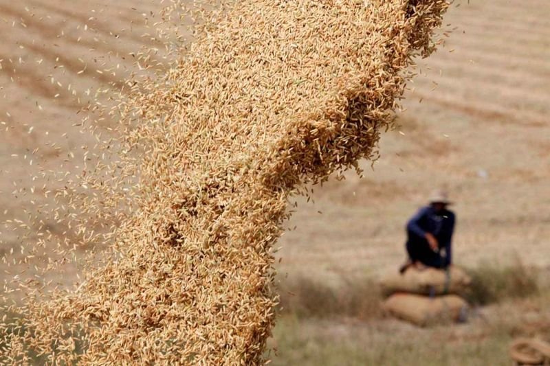 Die Wahrscheinlichkeit eines „Super-El Niño“ stellt eine ernsthafte Bedrohung für Thailands Agrarsektor dar, insbesondere für die Reisproduktion, und könnte die Risiken für die Ernährungssicherheit erhöhen.