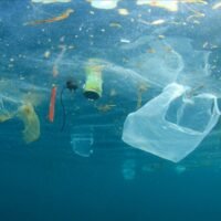 Die Behörden in Phuket werden dringend aufgefordert, Ermittlungen einzuleiten, nachdem im Internet Bilder aufgetaucht sind, die zeigen, wie eine Tourbootbesatzung mutmaßlich Müll ins Meer nahe des Tha Chin-Kanals in der Provinz Phuket kippt. Die Bilder zeigen zwei Männer an Bord eines Bootes im Unterbezirk Rassada, Bezirk Mueang Phuket, die schwarze Müllsäcke über Bord werfen. Die Säcke platzten Berichten zufolge beim Aufprall und verteilten den Müll im Wasser, was in der Öffentlichkeit Empörung über mögliche Umweltschäden auslöste.