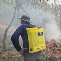 Die Luftverschmutzung hat in 10 nördlichen Provinzen kritische Werte erreicht, warnte die Umweltbehörde (PCD) am Montag. Am schlimmsten sei der Smog in Nan, da die PM2,5-Feinstaubwerte landesweit in 31 Provinzen die Sicherheitsstandards überschritten hätten.