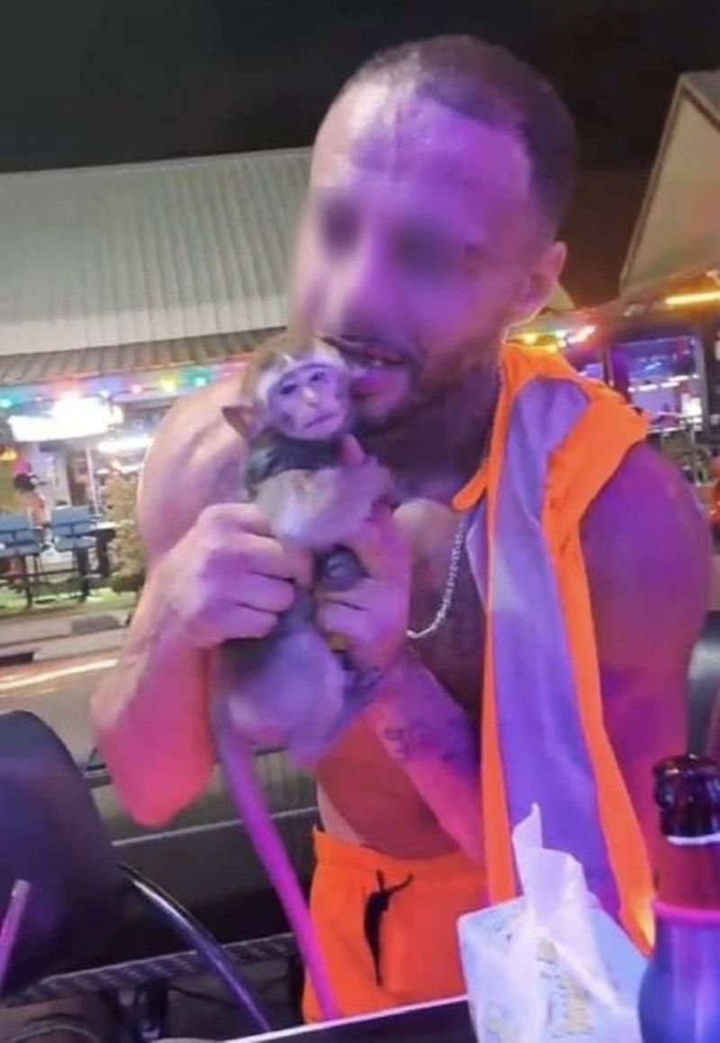 Ein Ausländer wurde beschuldigt, in Jomtien, einem Stadtteil von Pattaya, ein junges Äffchen misshandelt zu haben. Zeugen filmten, wie er das Tier angeblich in seine Shorts stopfte und ihm in der Öffentlichkeit ins Ohr biss. Der Vorfall ereignete sich Berichten zufolge in der Nähe der Bierbars am Rompho-Markt an der Jomtien Second Road in Chon Buri und löste Besorgnis bei Anwohnern und Touristen aus.
