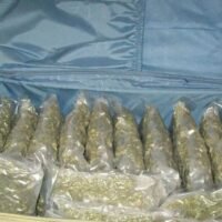 Die thailändische Zollbehörde hat mit sofortiger Wirkung verschärfte rechtliche Maßnahmen gegen den illegalen Export von Cannabis und die falsche Angabe des Ursprungslandes von Waren eingeführt. Ziel dieser Maßnahme ist es, den Ruf des Landes zu schützen und das Vertrauen in den thailändischen Handel zu stärken.